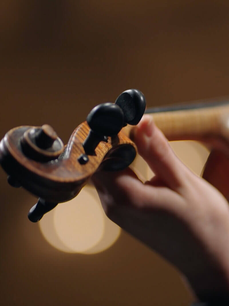 img-tmsr-2 mão esquerda no braço de um violino